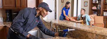 Best Termite Inspection and Treatment  in Colorado City, TX